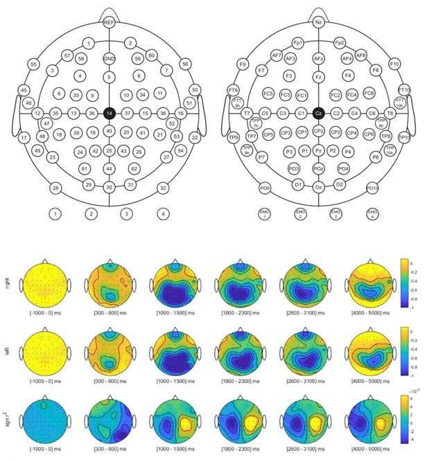 The visualization of how the EEG-MI Dataset is captured and the probe placement and activity heatmaps.